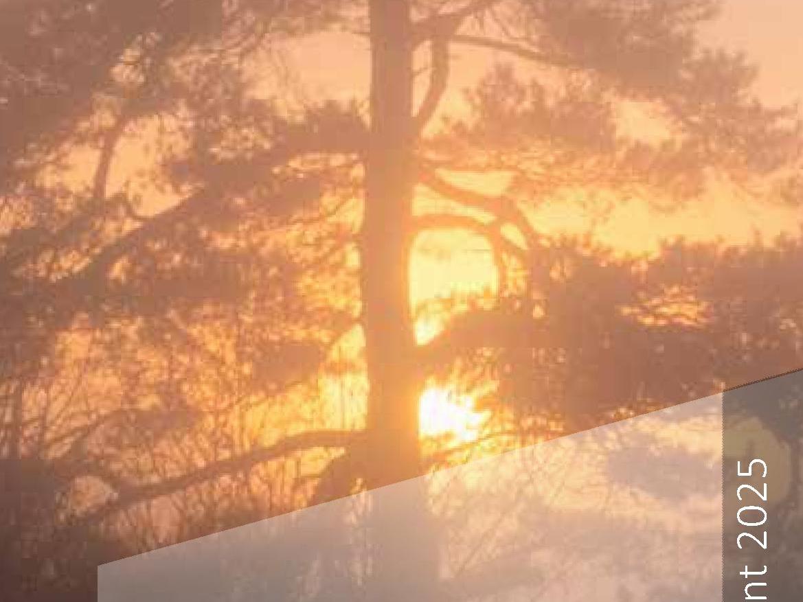 Hausgottesdienst im Advent 2025