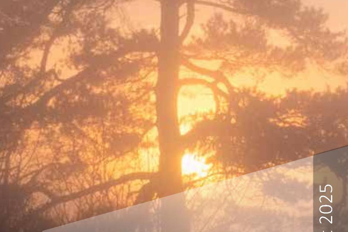 Hausgottesdienst im Advent 2025